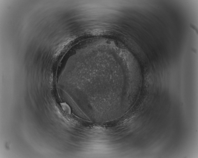 X0000103440592200809261756