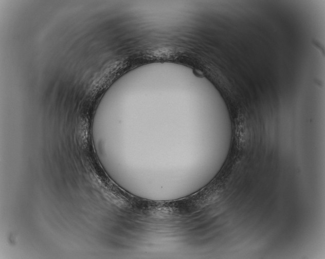 X0000103440593200809261756