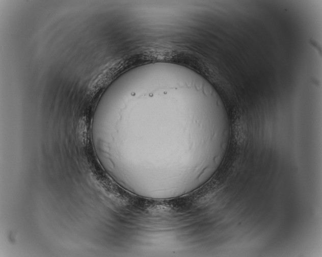 X0000103440594200809261756