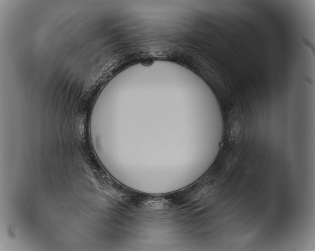 X0000103440595200809261756