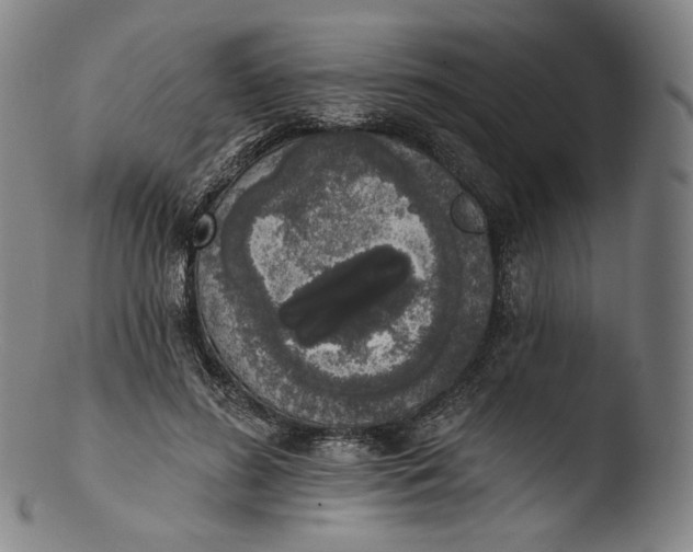 X0000103440596200809261756