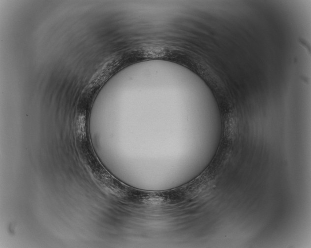X0000103440598200809261756