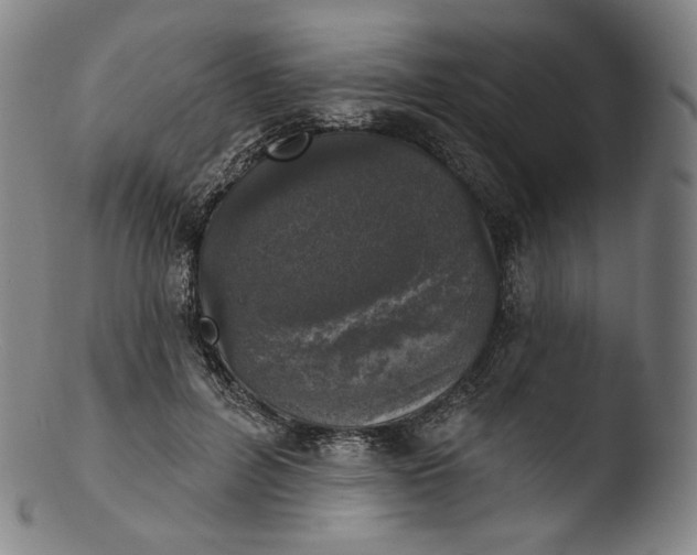 X0000103440600200809261756
