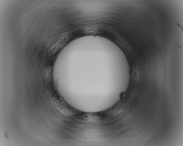 X0000103440601200809261756