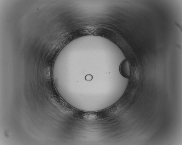 X0000103440602200809261756