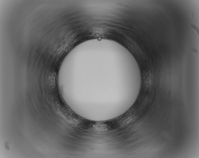 X0000103440603200809261756