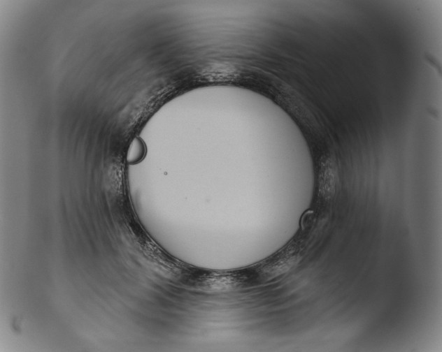 X0000103440604200809261756