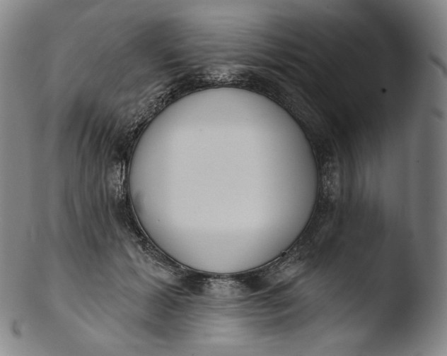 X0000103440605200809261755