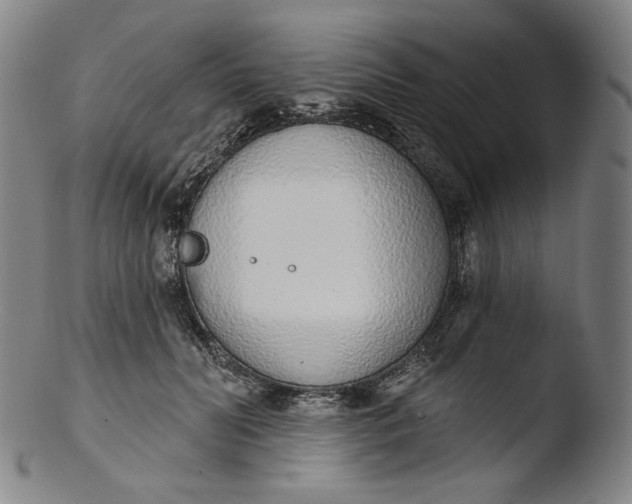 X0000103440606200809261755