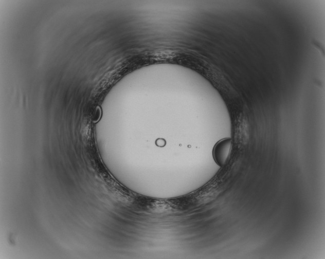 X0000103440608200809261755