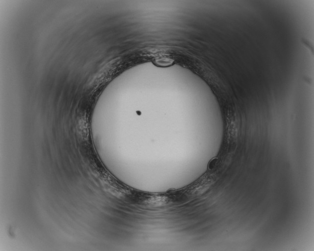 X0000103440609200809261755
