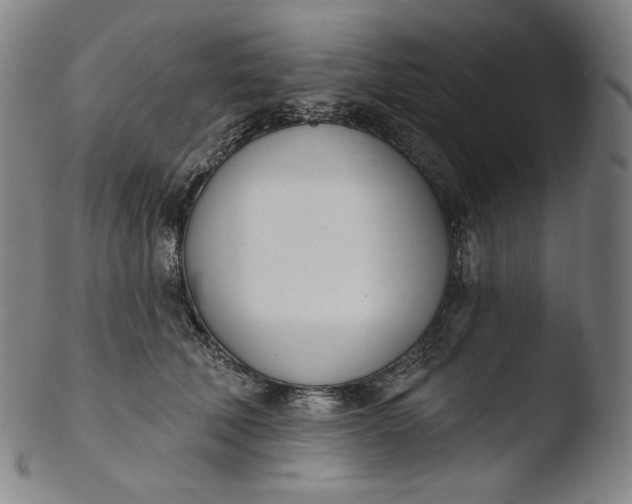 X0000103440610200809261755
