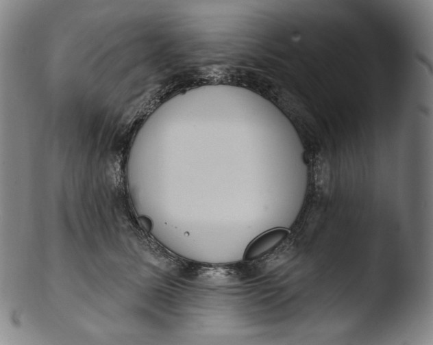 X0000103440611200809261755