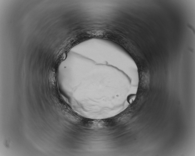 X0000103440612200809261755