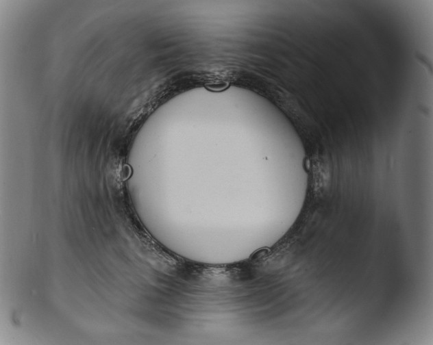 X0000103440613200809261755