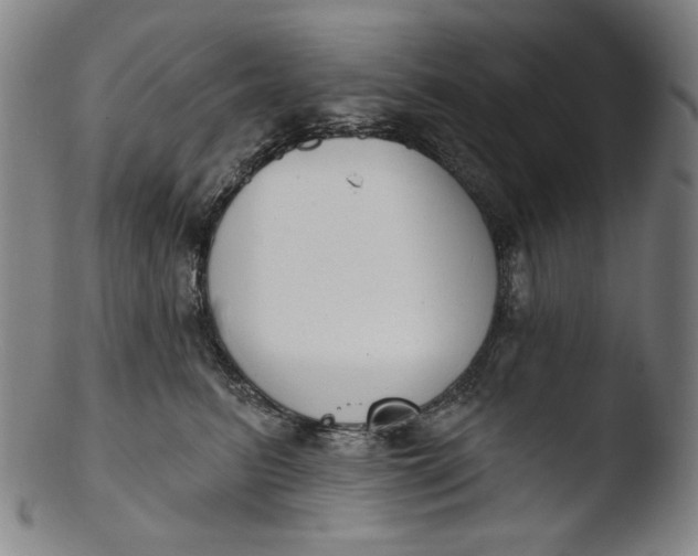 X0000103440615200809261755