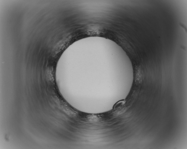 X0000103440616200809261755