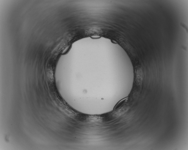 X0000103440617200809261755