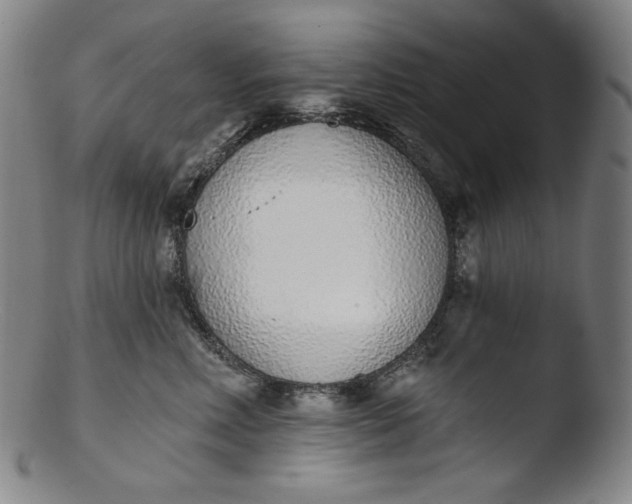 X0000103440618200809261755