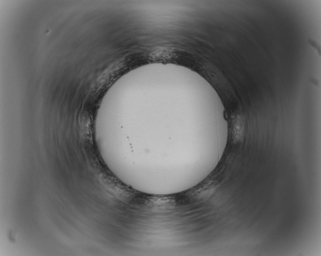 X0000103440619200809261755