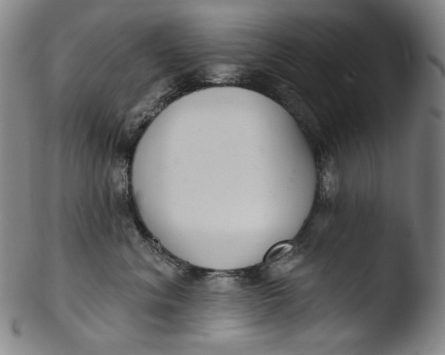 X0000103440620200809261755