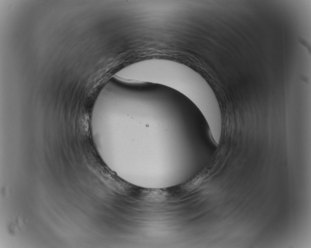 X0000103440621200809261755