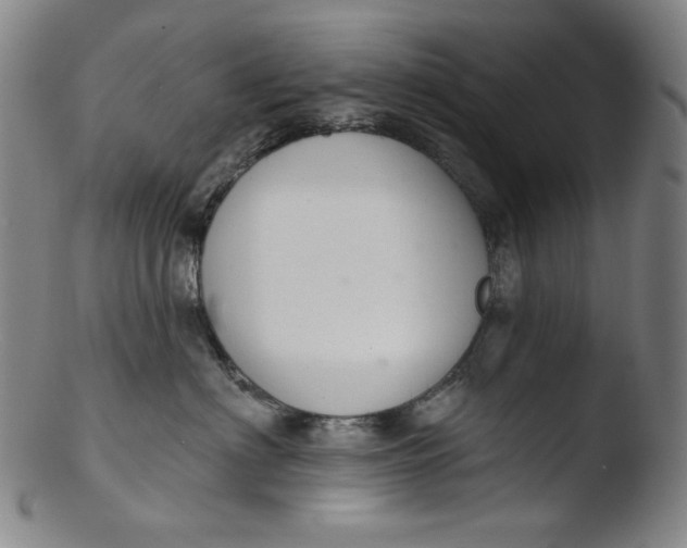 X0000103440622200809261755