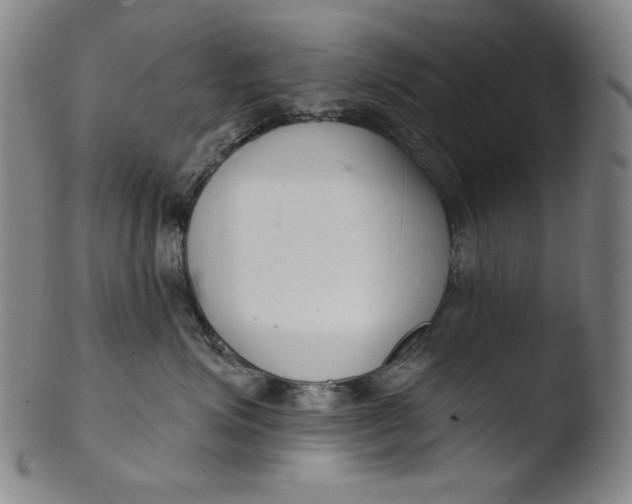 X0000103440623200809261755