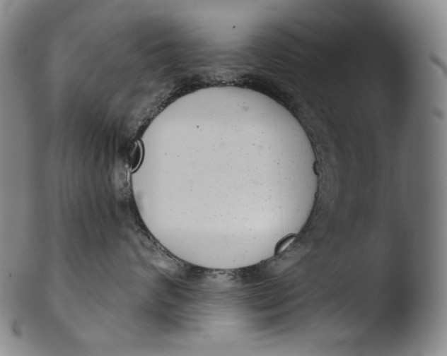 X0000103440624200809261755