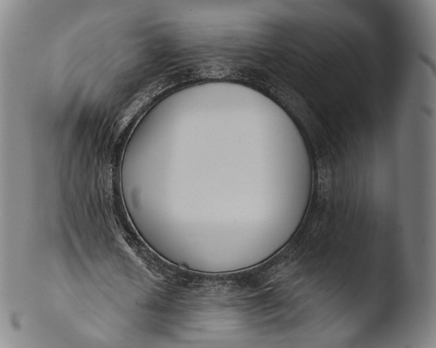 X0000103440626200809261754