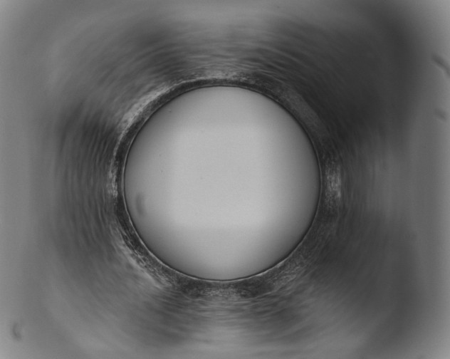 X0000103440628200809261754