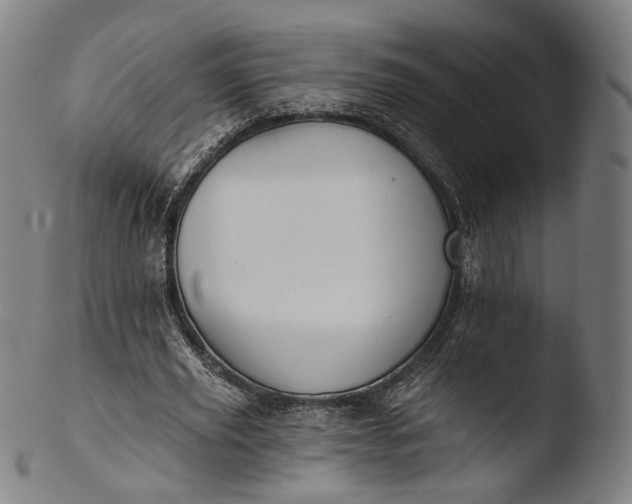 X0000103440629200809261754