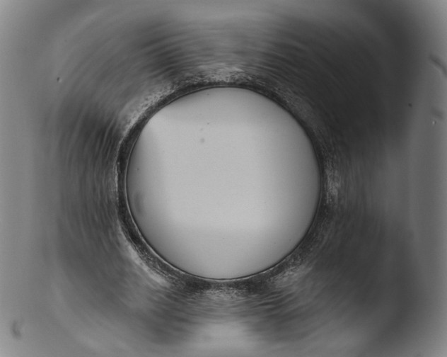 X0000103440630200809261754