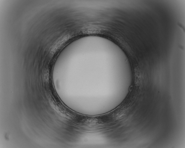 X0000103440631200809261754