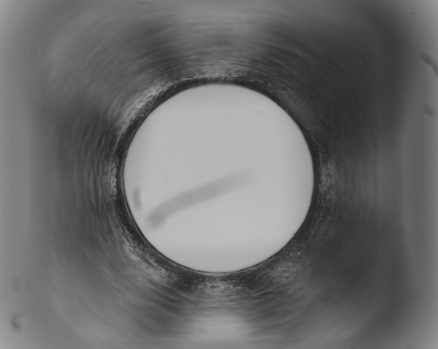 X0000103440632200809261755