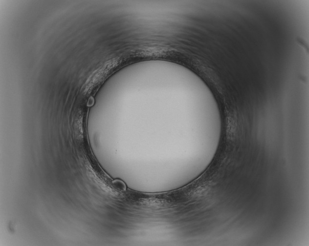 X0000103440633200809261755