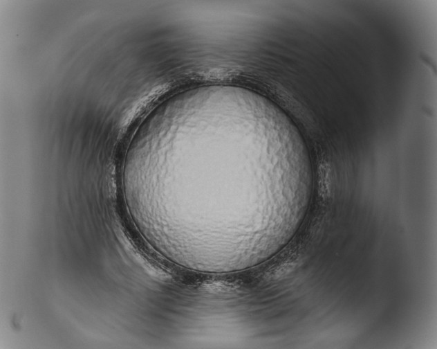 X0000103440634200809261755