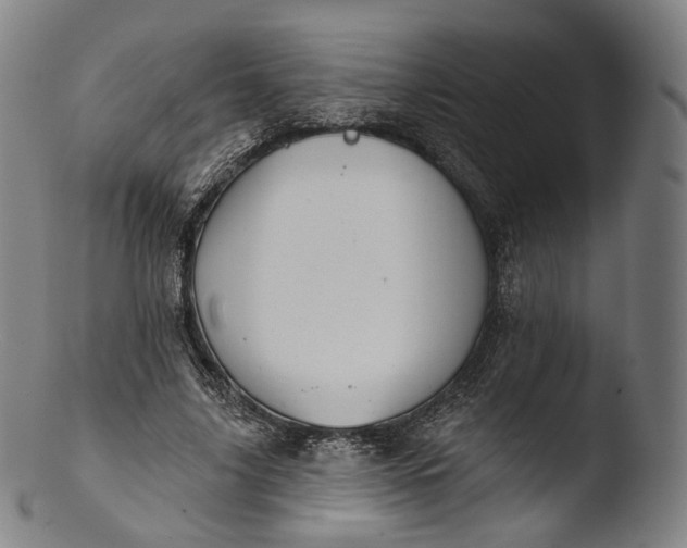 X0000103440635200809261755