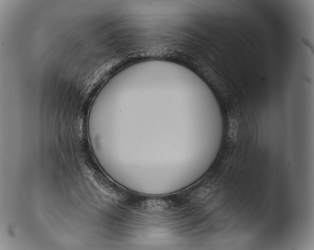 X0000103440636200809261755