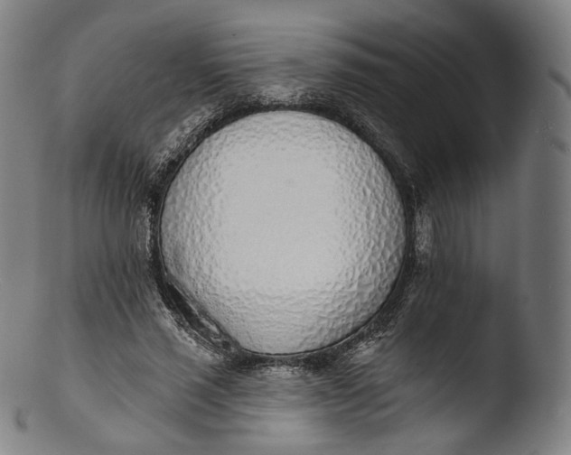 X0000103440637200809261755