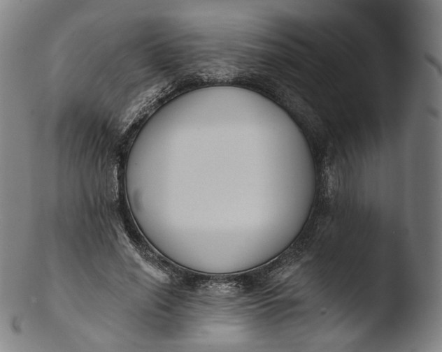 X0000103440638200809261755