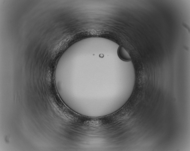 X0000103440639200809261755