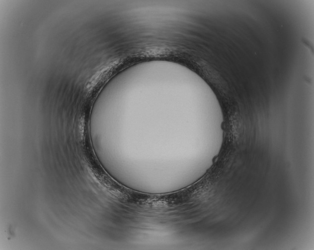 X0000103440640200809261755