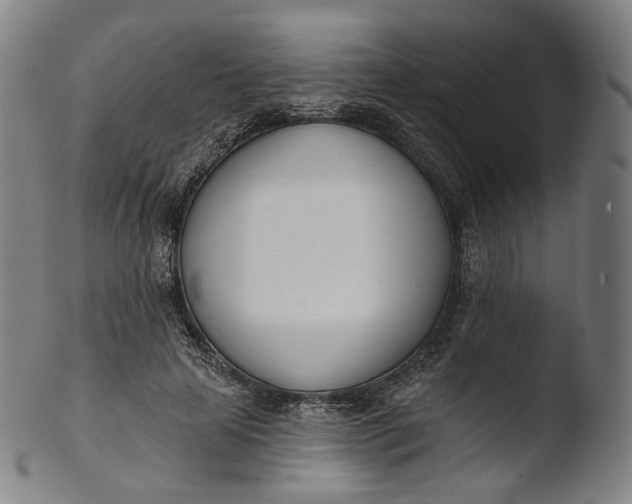 X0000103440641200809261755