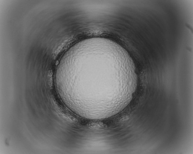 X0000103440642200809261755