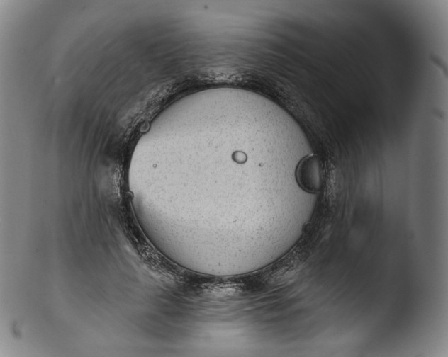 X0000103440643200809261755