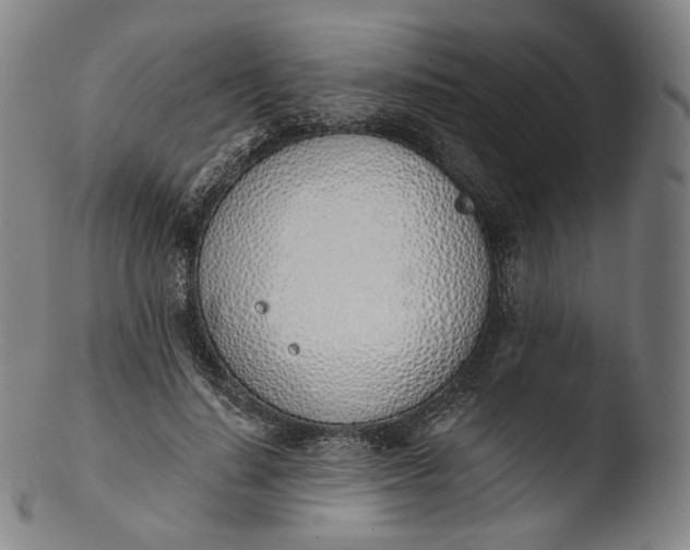 X0000103440644200809261755