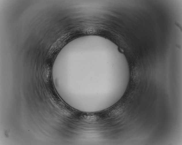 X0000103440645200809261755