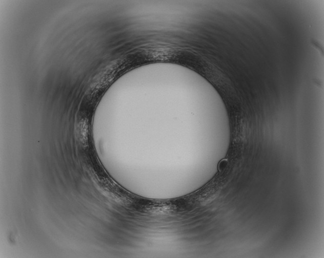 X0000103440646200809261755