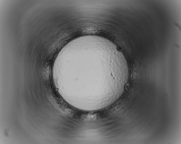 X0000103440647200809261755